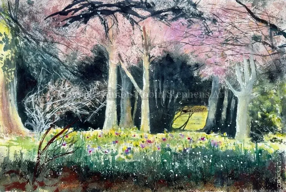 The Place the Light Found original watercolour painting of woodland light and spring blossom at Oaks Park near Banstead.