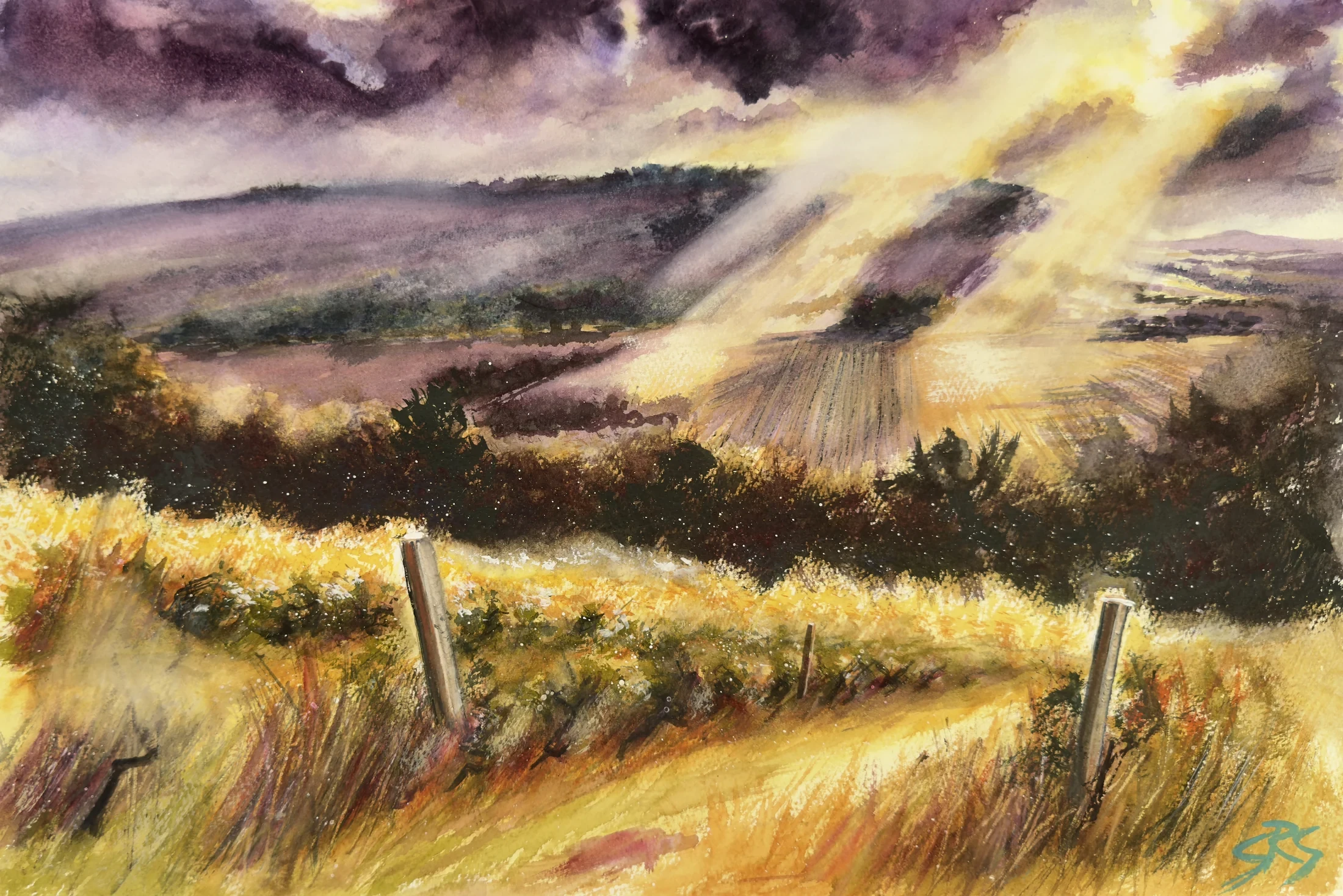 Beyond the Vines original watercolour painting inspired by Denbies Vineyard, looking towards Box Hill in Surrey.