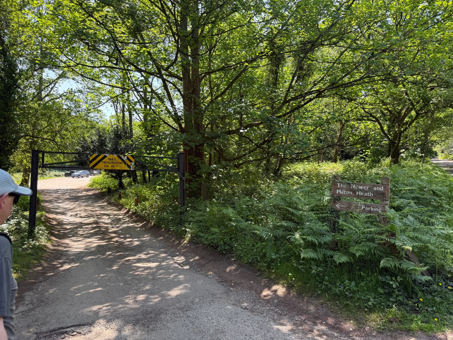 Woodland entrance at The Nower and Milton Heath near Westcott, Dorking.