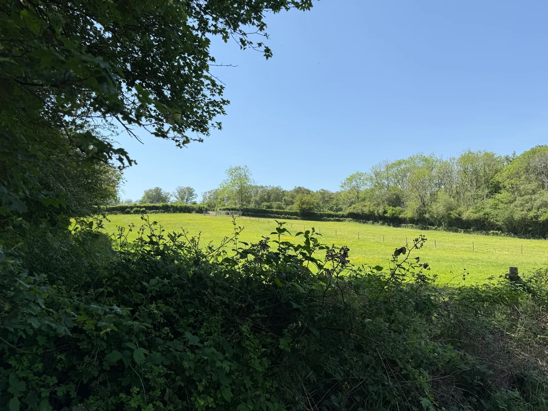 Surrey countryside view near Westcott, Dorking.